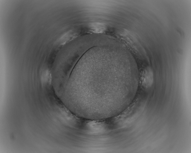 X0000110860568200906181143
