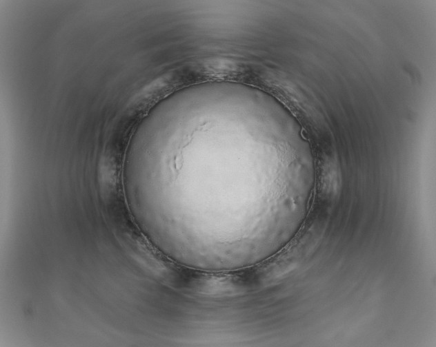 X0000110860569200906181143