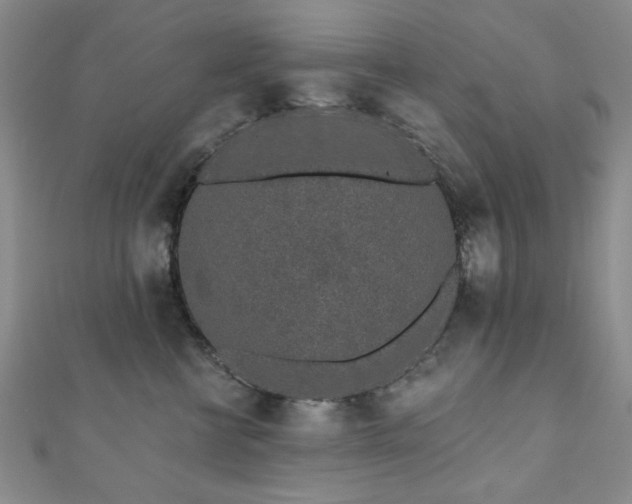 X0000110860570200906181143