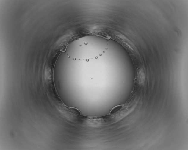 X0000110860571200906181143