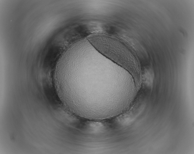 X0000110860572200906181143