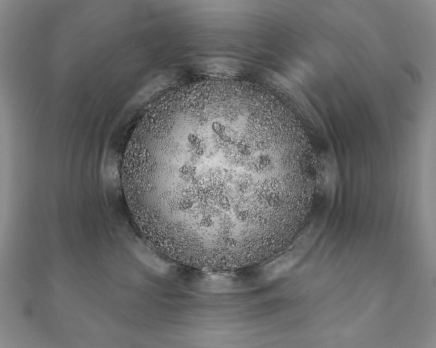 X0000110860573200906181144