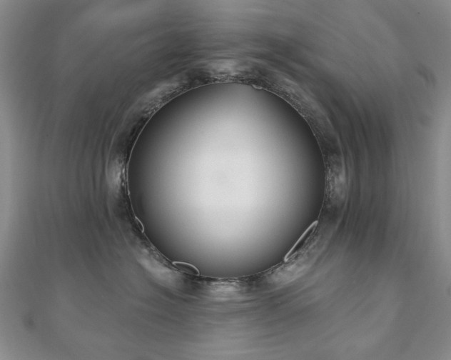 X0000110860574200906181144