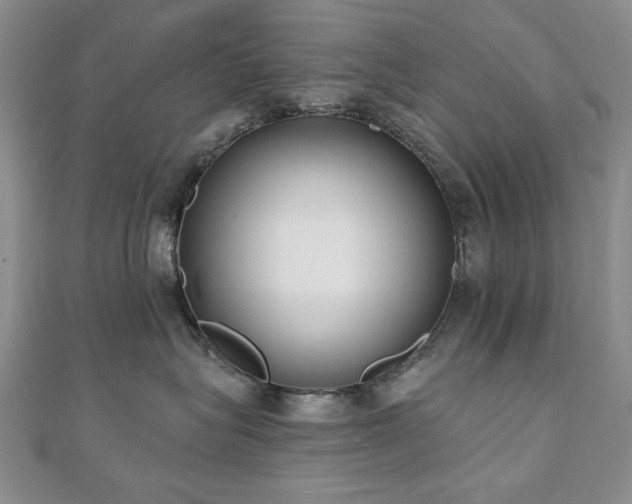 X0000110860575200906181144