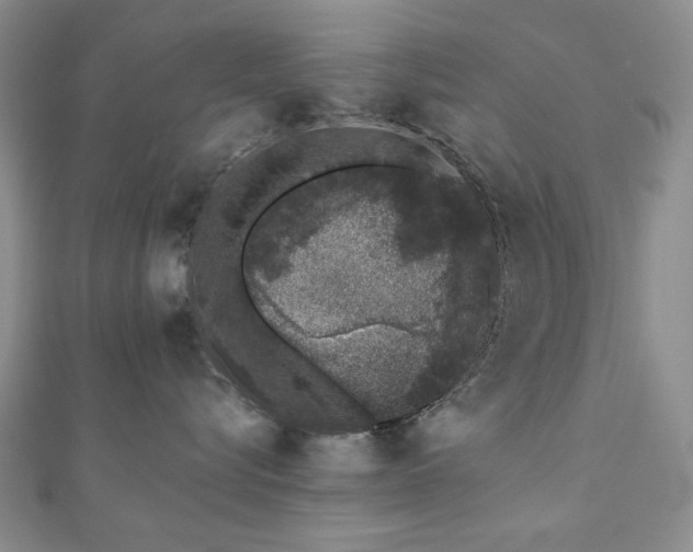 X0000110860576200906181144
