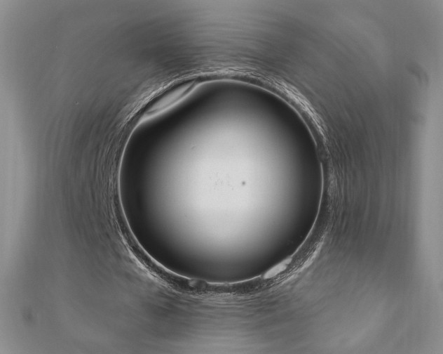 X0000110860577200906181143