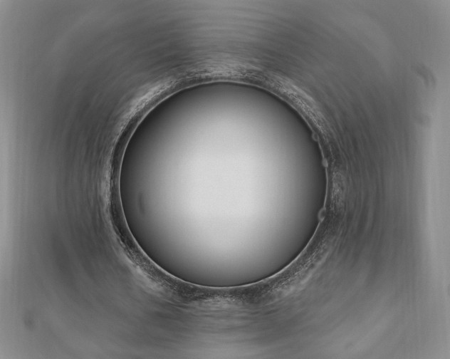 X0000110860578200906181143