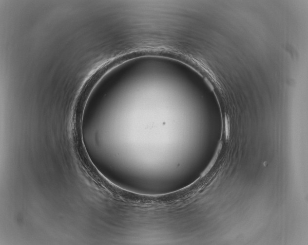 X0000110860579200906181143