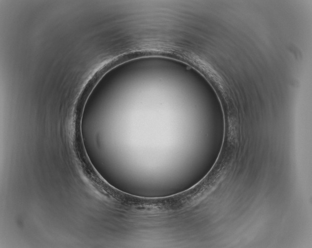 X0000110860580200906181143