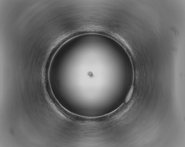 X0000110860581200906181143