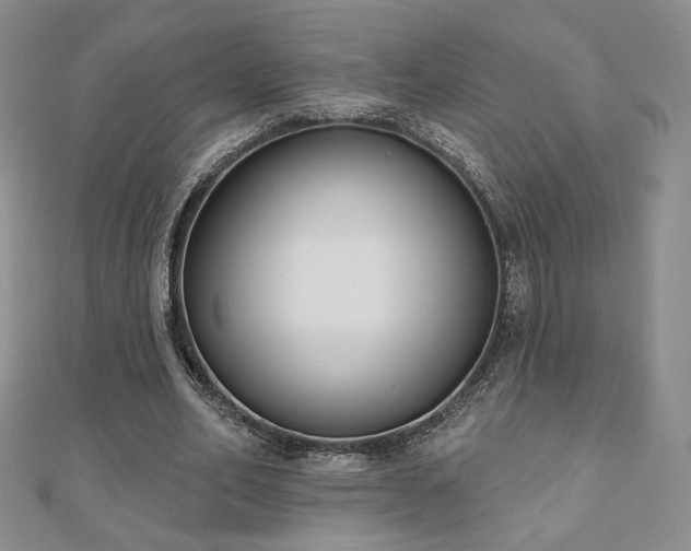 X0000110860582200906181143