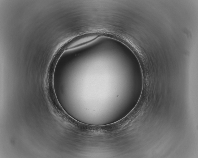 X0000110860583200906181143