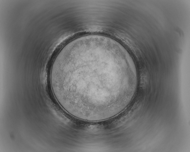 X0000110860584200906181143
