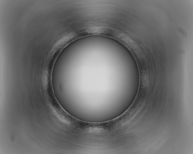 X0000110860586200906181143