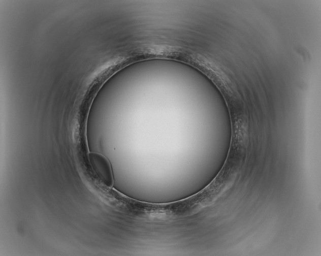 X0000110860587200906181143