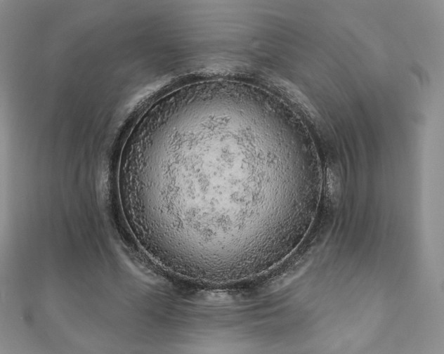 X0000110860588200906181143