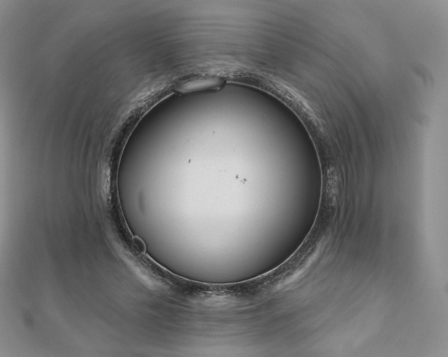 X0000110860589200906181143