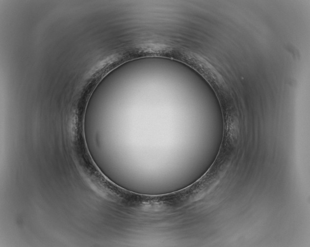 X0000110860591200906181143