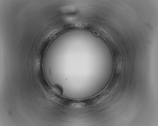 X0000110860595200906181143