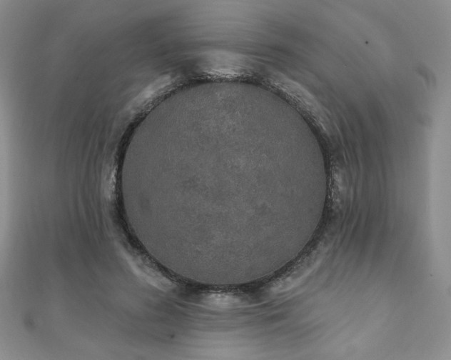 X0000110860596200906181143