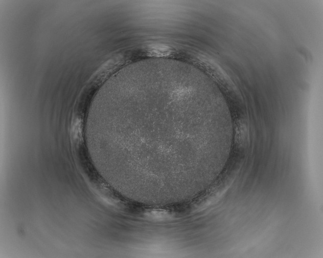 X0000110860598200906181143