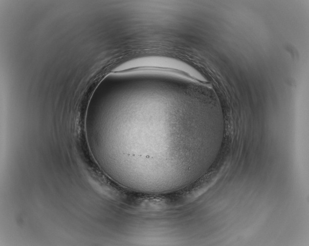 X0000110860599200906181143