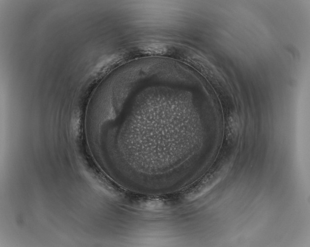 X0000110860600200906181143