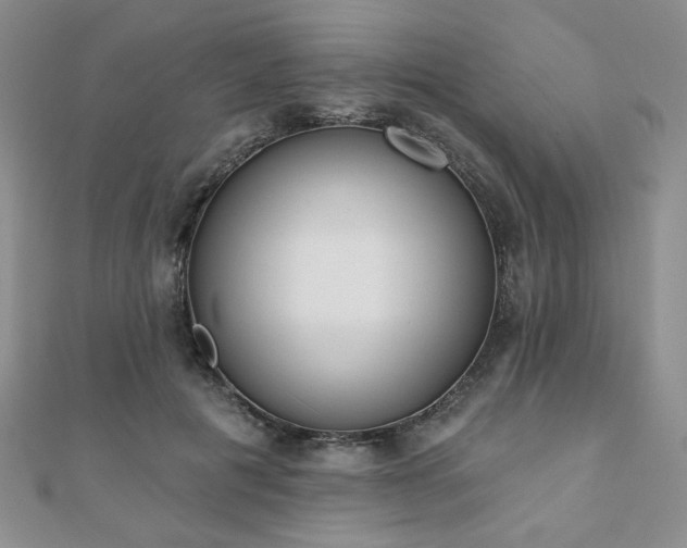 X0000110860601200906181143