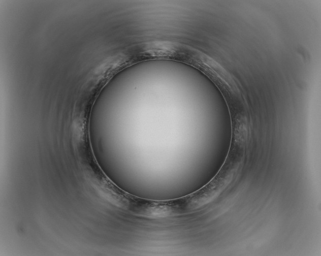 X0000110860604200906181143