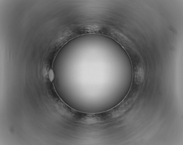 X0000110860608200906181143