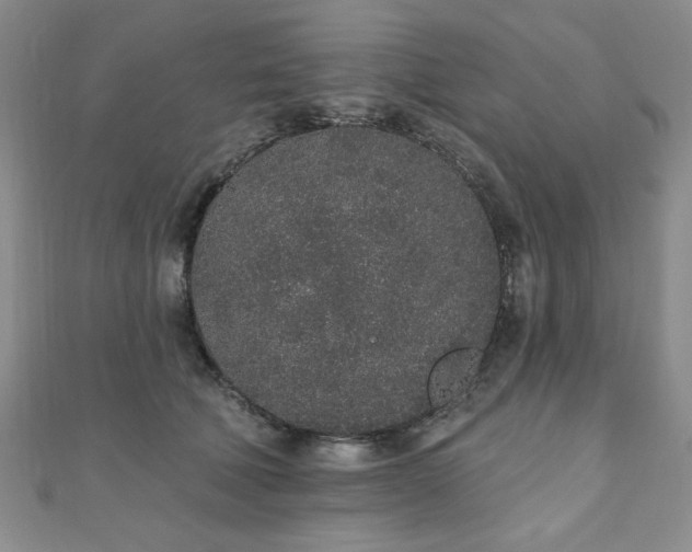 X0000110860610200906181143