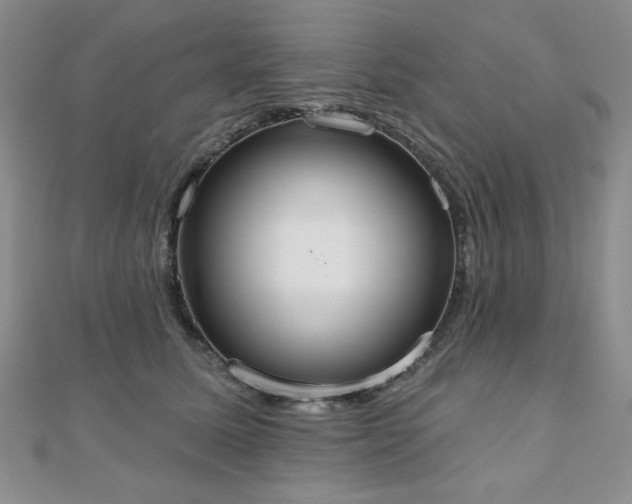 X0000110860611200906181142