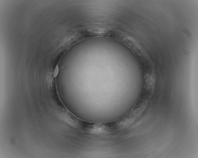 X0000110860612200906181142