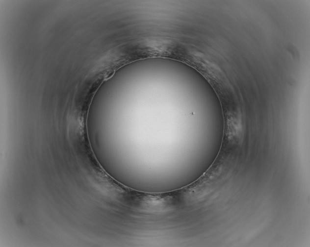 X0000110860613200906181142