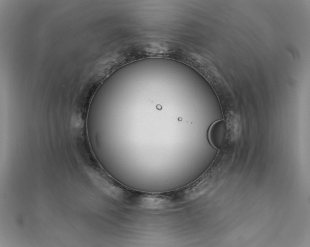 X0000110860614200906181142