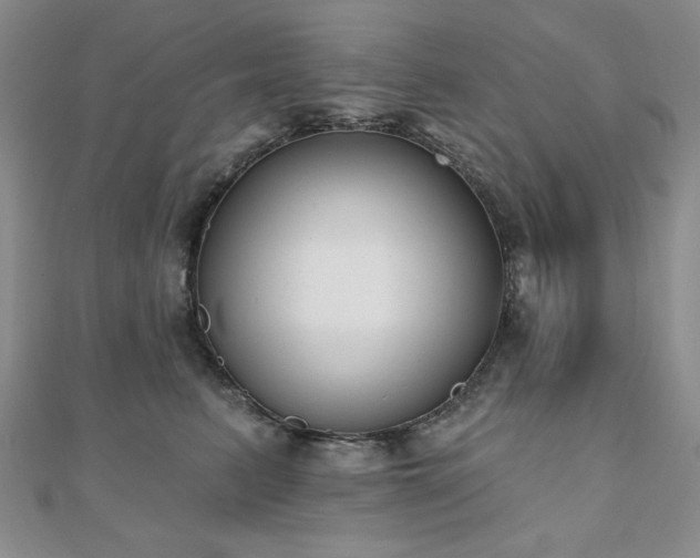 X0000110860615200906181142