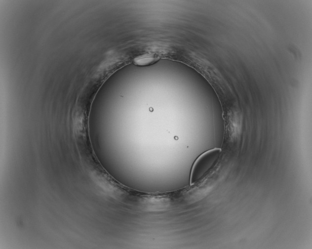 X0000110860619200906181142