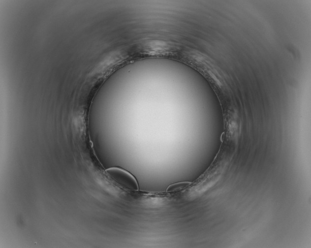 X0000110860620200906181142