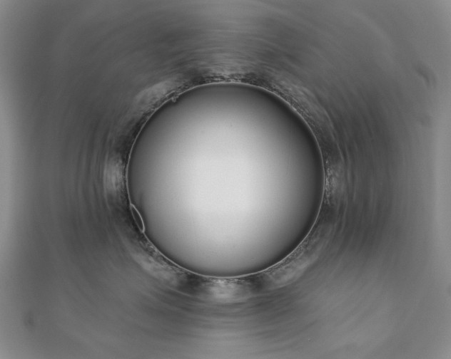 X0000110860623200906181142