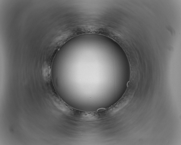 X0000110860624200906181142