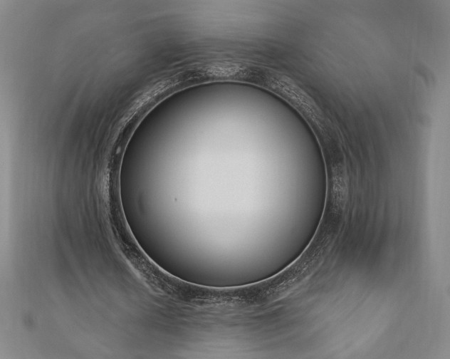 X0000110860626200906181142