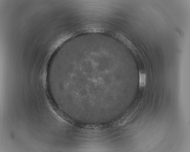 X0000110860627200906181142