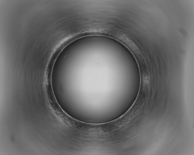 X0000110860628200906181142