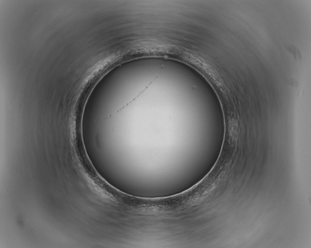 X0000110860629200906181142