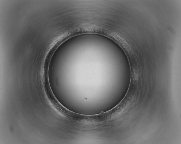 X0000110860630200906181142