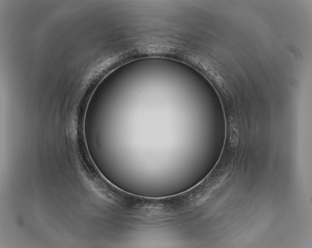 X0000110860631200906181142