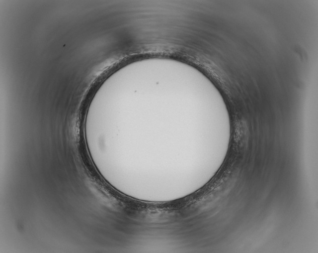 X0000110860632200906181142