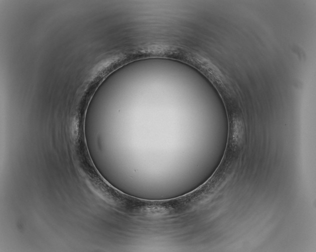 X0000110860636200906181142