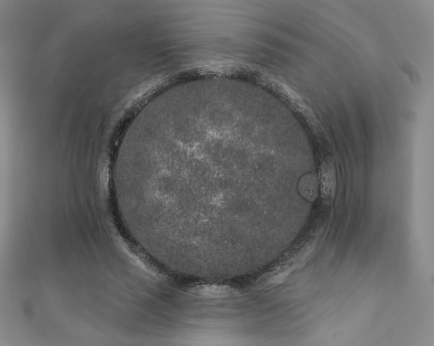 X0000110860637200906181142