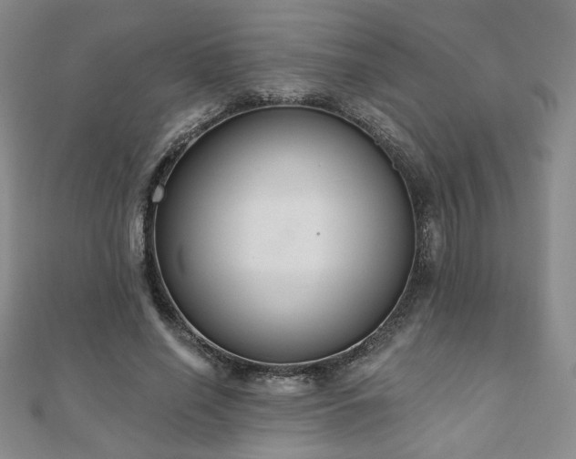 X0000110860638200906181142